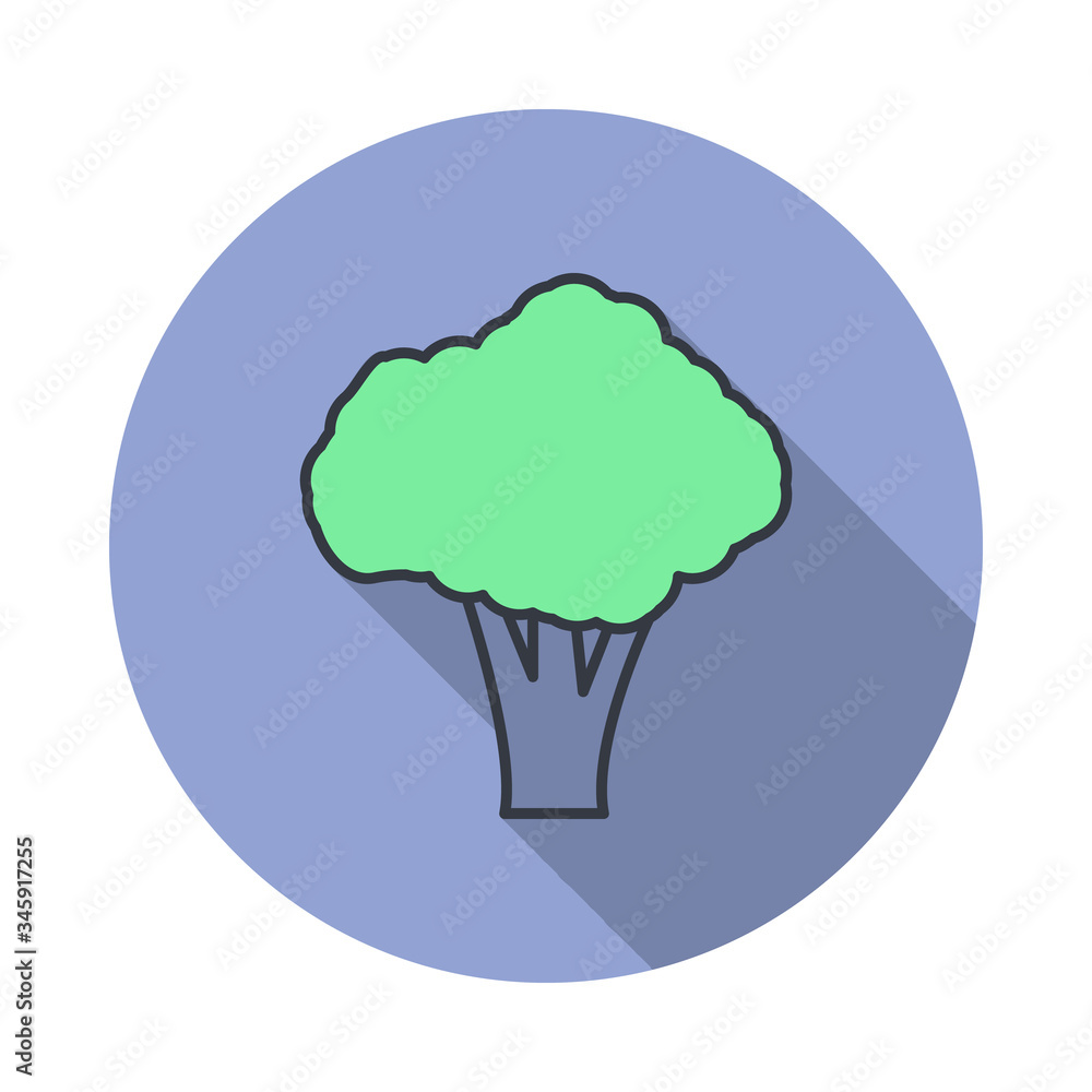 Poster broccoli long shadow icon. simple color vector of web icons for ui and ux, website or mobile applica