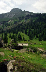 mountain village in the mountains
