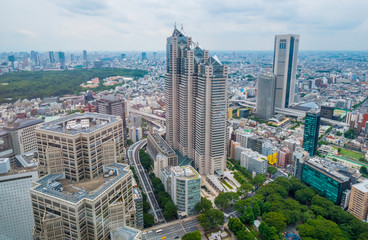 Fototapeta premium The city of Tokyo - wide angle aerial view - TOKYO / JAPAN - JUNE 17, 2018
