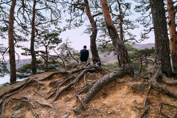 Lonely man among old pines