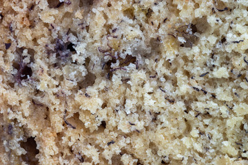 Macro view of quick bread texture with high level of detail