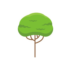 Tree icon. Green plant in flat style for landscape design. Forest and nature symbol. Vector illustration.