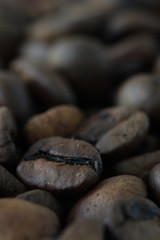 Macro view of roasted coffee beans with selective focus with copy space