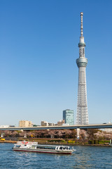 Obraz premium 隅田川とスカイツリー