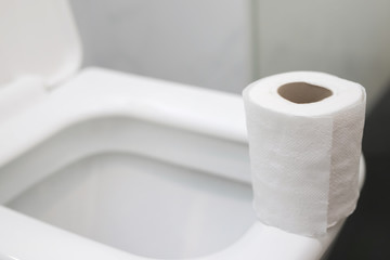 A white roll of soft toilet paper neatly hanging on a modern chrome holder on bathroom 