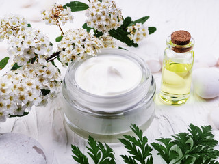 Closeup shot of organic oil and cream. green cosmetic arrangement, Fresh herbal skincare cosmetics....
