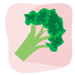 Broccoli with a shadow as a concept of veganism, Flat or flatlay vector stock illustration with broccoli with a shadow or vegan vegetable as an emblem for design