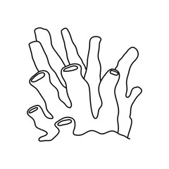 Vector sea coral isolated on white background. Outline vector illustration in doodle style.