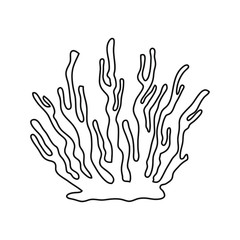  Vector sea coral isolated on white background. Outline vector illustration in doodle style.