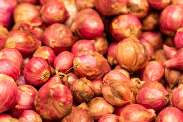 Close up of a fresh shallot