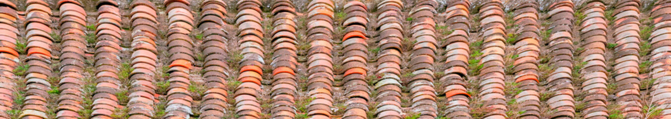 red ceramic tiles with green plants as a natural background.