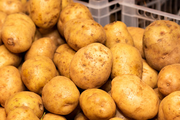 Lots of potatoes for sale in the market