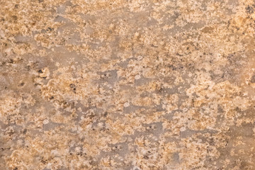 Vintage or grungy white background of natural cement or stone old texture as a retro pattern wall. It is a concept  conceptual or metaphor wall banner  grunge  material  aged  rust or construction.