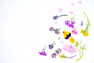 Fototapeta premium Edible flowers on the white background
