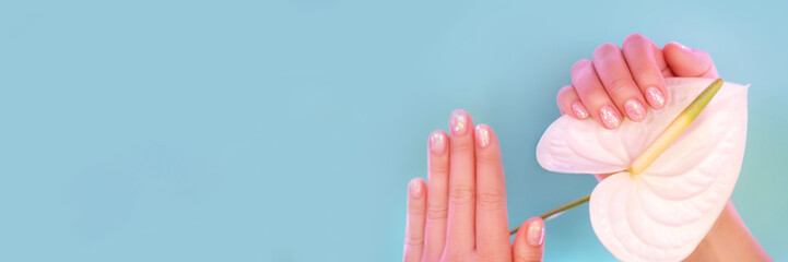 White anthurium flower in female hands with stylish manicure on blue background. Beauty concept.