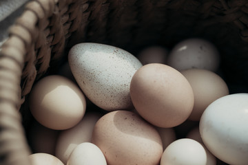eggs in a basket
