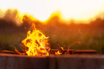 Bonfire on sunset nature background. Outdoor wood campfire