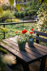 Autumn morning in the park with flowers on the wooden table