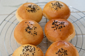 自宅でパン作り　あんぱん