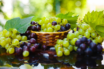 Fresh grapes in a straw basket with water splashes on a rustic wooden table. Autumn fruit, selective focus.