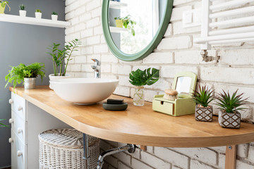 White modern bathroom. Bright room. Modern interior. Green plants on wooden counter and bathroom...