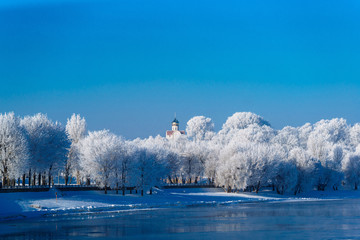 snow-covered trees near the lake river sky
