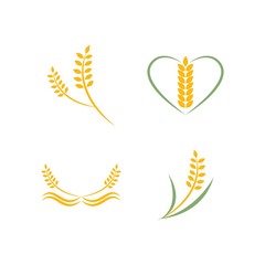 Agriculture wheat Logo