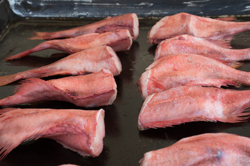 Fresh raw fish on grill slate, during seafood festival, street food market.
