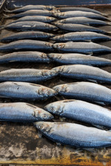 Obraz premium Fresh raw fish on grill slate, during seafood festival, street food market.