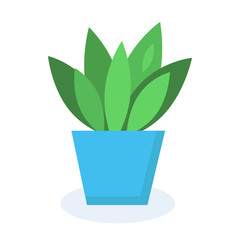 Houseplant with green leaves in the vivid blue pot. Flat colorful icon on the white background. Eco object for poster, banners, flyers, covers, scrapbook. Vector illustration