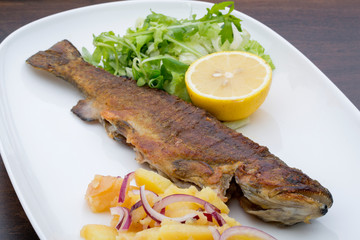 A roasted trout with potatoes, onions and lettuce  in a white ceramic plate on a wooden table
