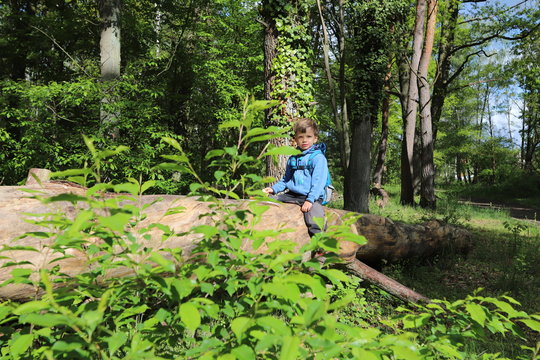 รูปภาพKoller – เลือกดูภาพถ่ายสต็อก เวกเตอร์ และวิดีโอ145 | Adobe Stock