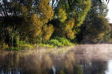 Fototapeta premium The fog rises above the water. The river reflects yellow and green leaves of trees in autumn at dawn. Leaves of trees by the water in the morning sun.