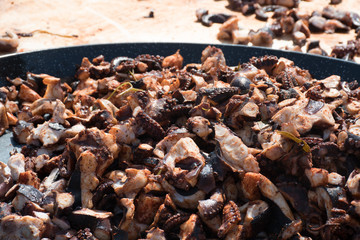 Octopus small chopped bites, street food festival. Seafood festival.