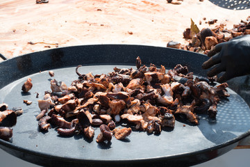 Octopus small chopped bites, street food festival. Seafood festival.