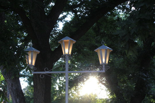 parras