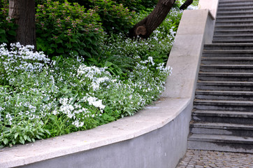 concrete retaining wall at the large staircase in the park the flowerbed area is planted with rich...