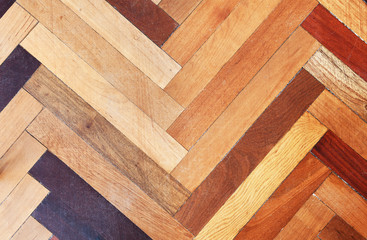 wood specimen from different tropical hardwood that grow in Indonesia. seamless wood parquet texture. natural background