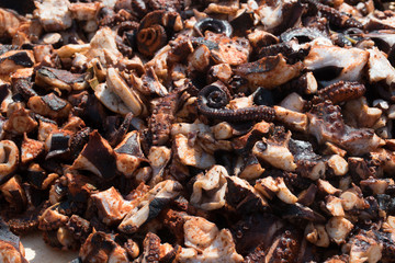 Octopus small chopped bites, street food festival. Seafood festival.