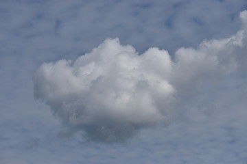 Cumulus Wolke