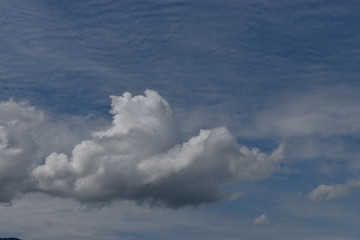 Cumulus Wolke