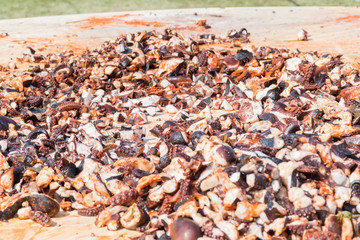 Octopus small chopped bites, street food festival. Seafood festival.