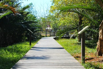 pathway in the park