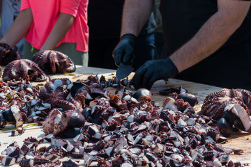 Octopus small chopped bites, street food festival. Seafood festival.