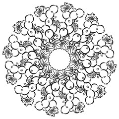 Outline sketch of currants arranged in a circle