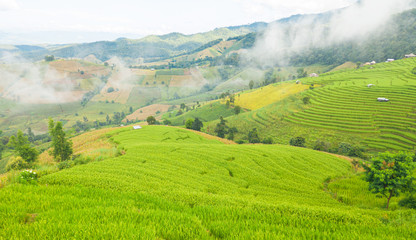Obraz premium Landscape view of the mountain and rice terraces in the northern, Thailand, Aerial view