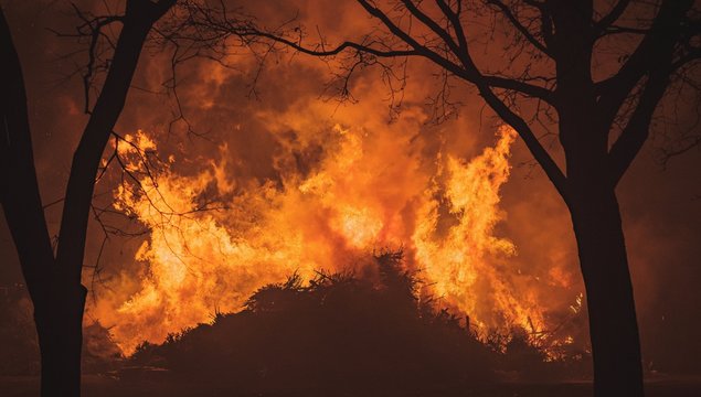 Intense Flames From A Massive Forest Fire. Flames Light Up The Night