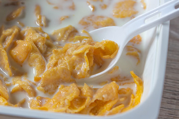 Breakfast Cereal. Toasted golden flakes of corn on white spoon w ith milk
