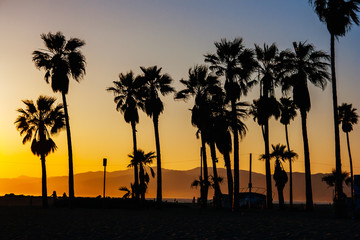 Obraz premium Venice Beach Sunset