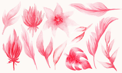 Raster set of watercolor red-pink flowers and leaves of different shapes and varieties isolated on a white background.